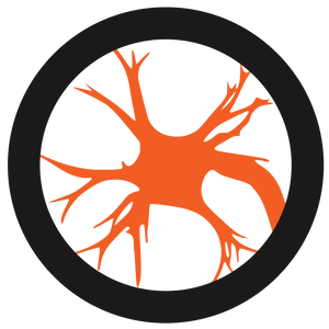 Team Page: Team MYOLYN